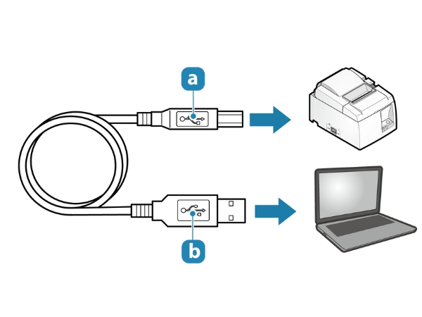 Đảm bảo rằng dây cáp đã được cắm chặt vào cả máy tính và máy in 
