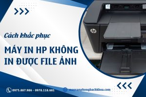 Hướng dẫn cách khắc phục máy in HP không in được file ảnh nhanh chóng